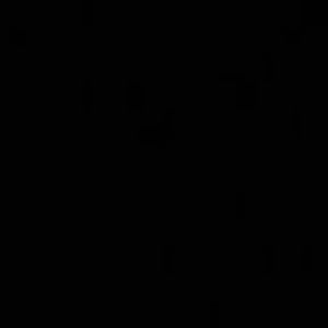 Meet your Posher, Heyits